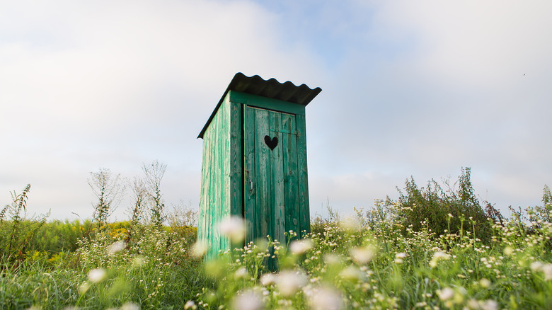 green painted rustic outhouse