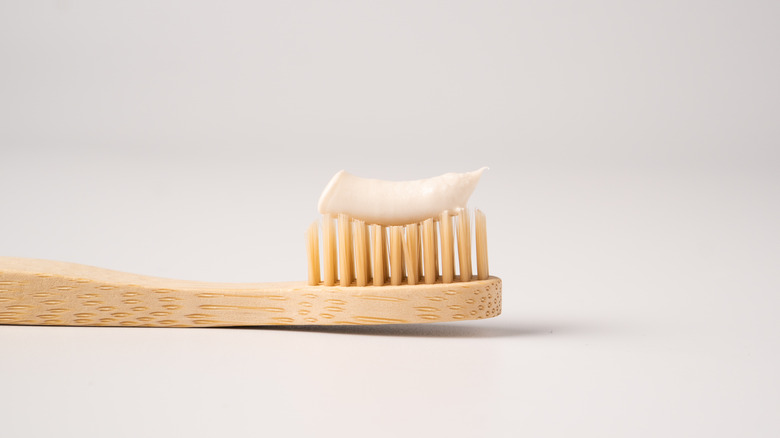 bamboo toothbrush with paste