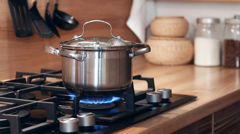 Pot cooking on a gas stovetop