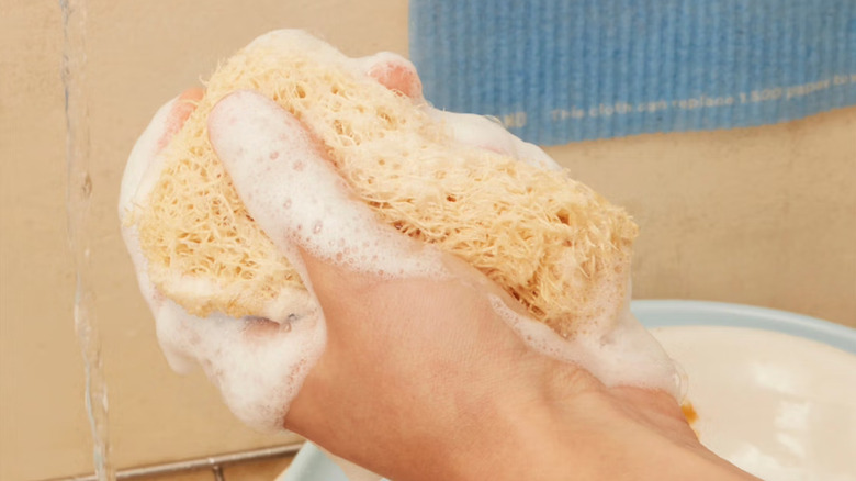 person squeezing soapy natural plastic-free sponge