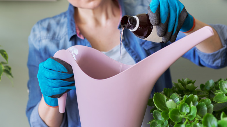 Woman pouring liquid into a watering can