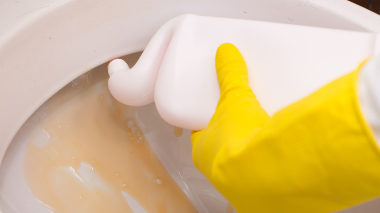 Hand applying toilet bowl cleaner