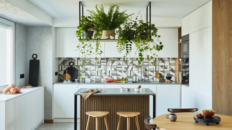 kitchen island with hanging plants