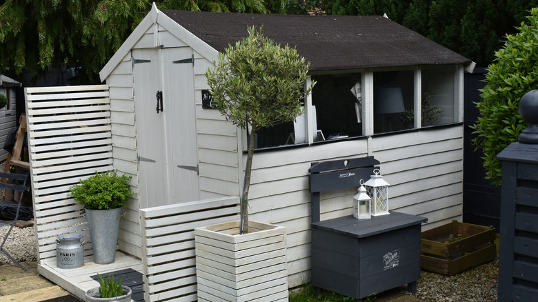 Cape Cod style garden shed