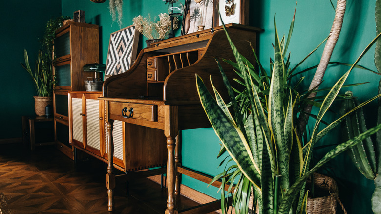 green room with vintage desk and houseplants