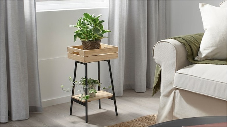 plant stand in living room