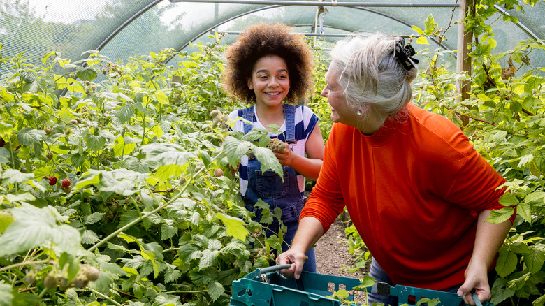 grandmother and granddaughter gardening