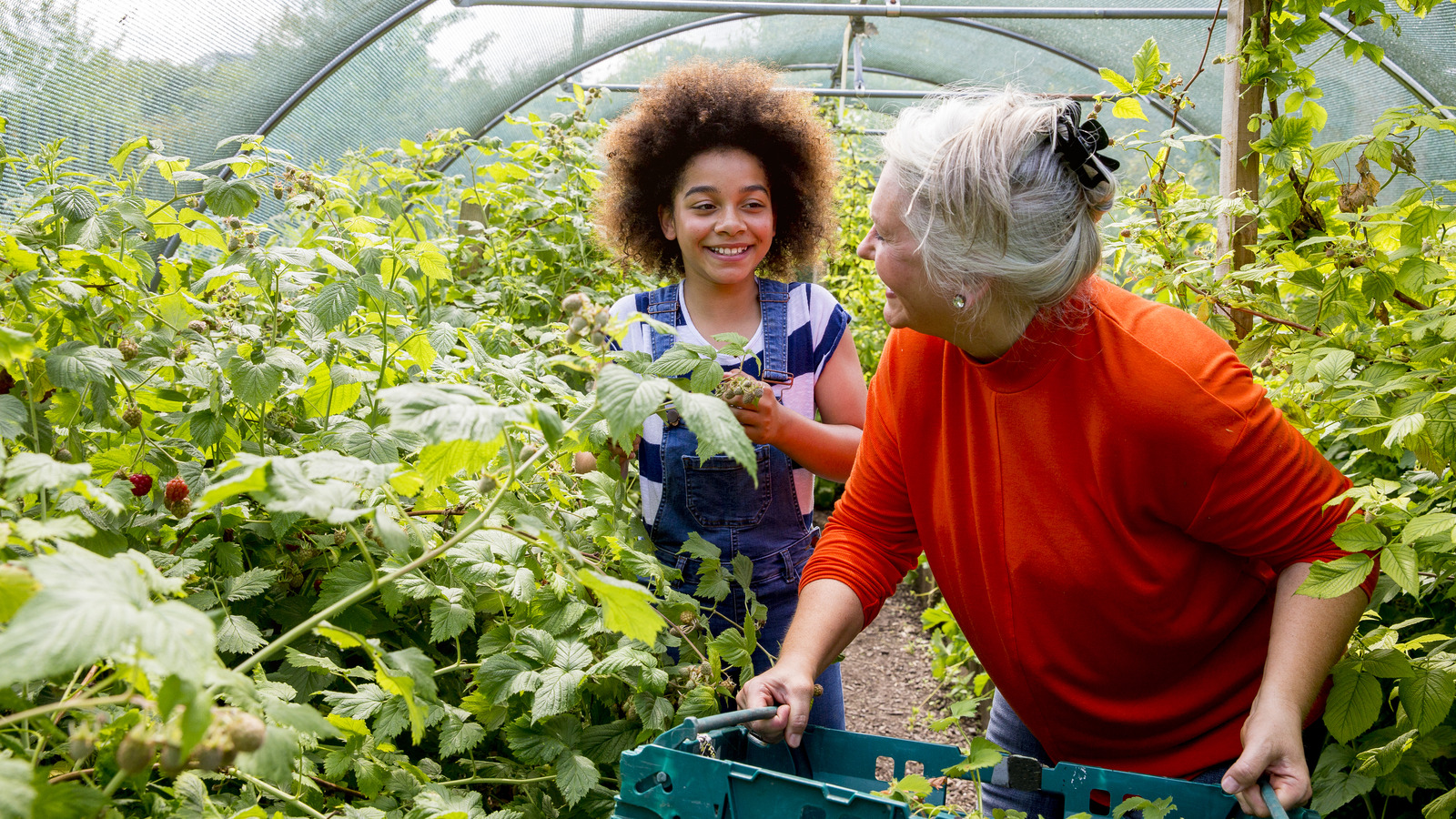 Joint-friendly Tools That Can Help You Garden If You Suffer From Arthritis