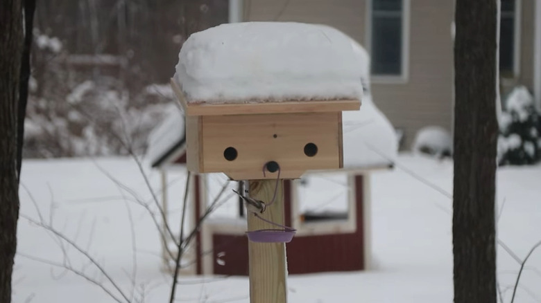 Chickadee sits on a wire underneath a winter roost box mounted on a wood post, the background is covered with snow