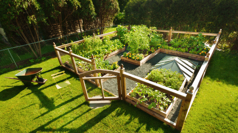 Wire fencing surrounding home garden