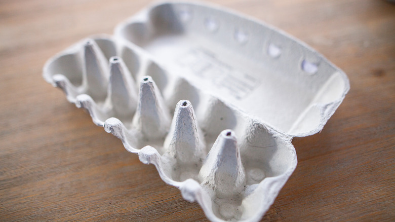 empty egg carton