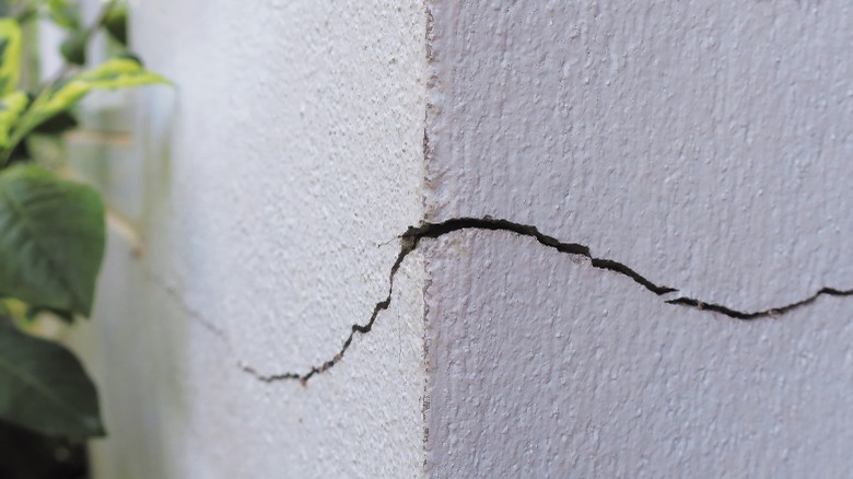 Cracked foundation