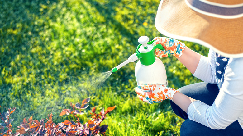 Woman sprays her garden