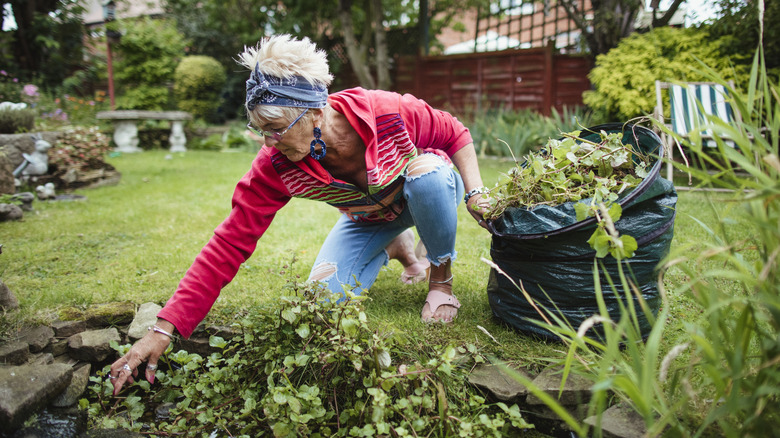 Woman removes weeds from garden