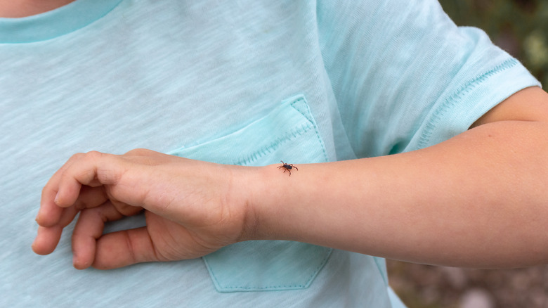 Child with a tick 