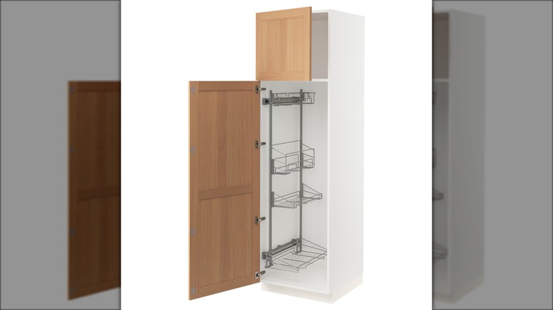 SEKTION cabinet with pull-out fittings