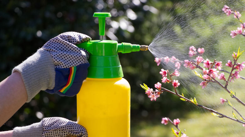 A person using insect spray 