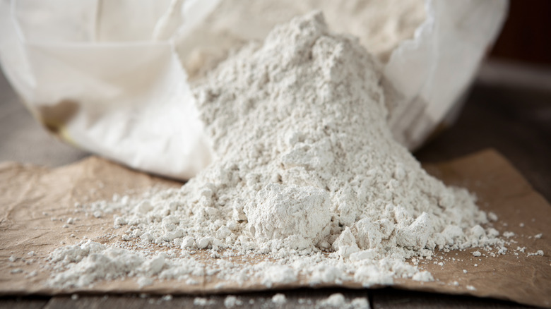 Diatomaceous earth powder 