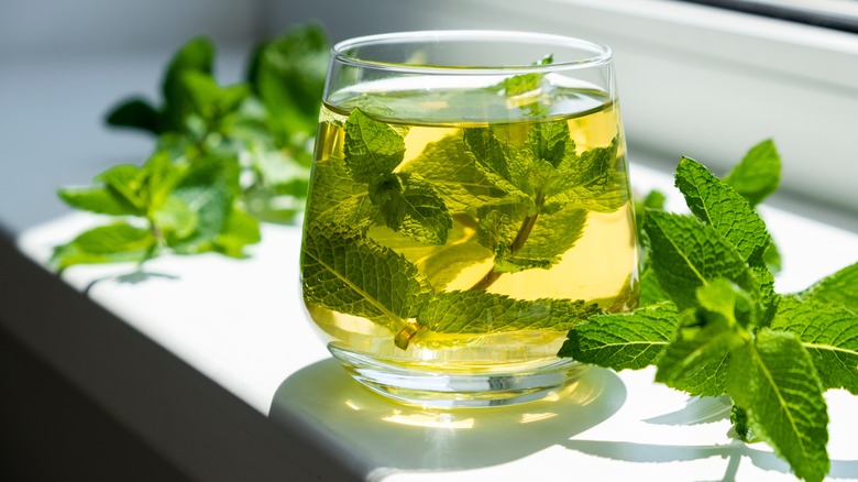 Fresh mint tea brewing in glass