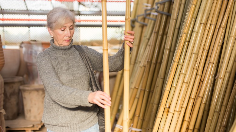 Woman selecting bamboo poles