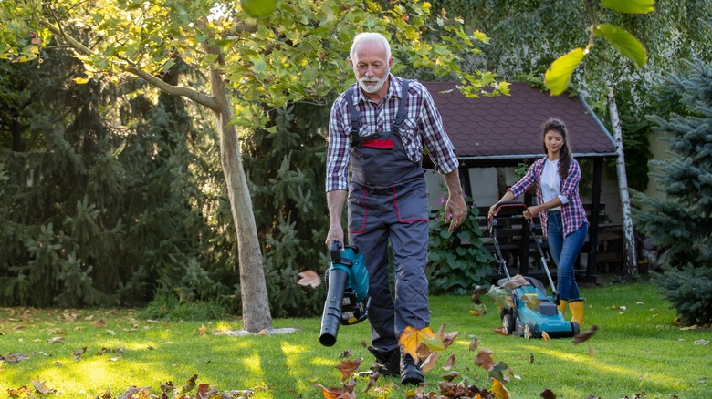 People cleaning their yard