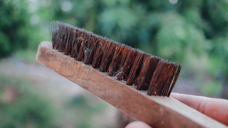 Rusty wire brush