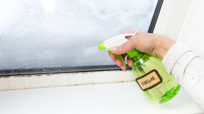 spraying vinegar on windowsill