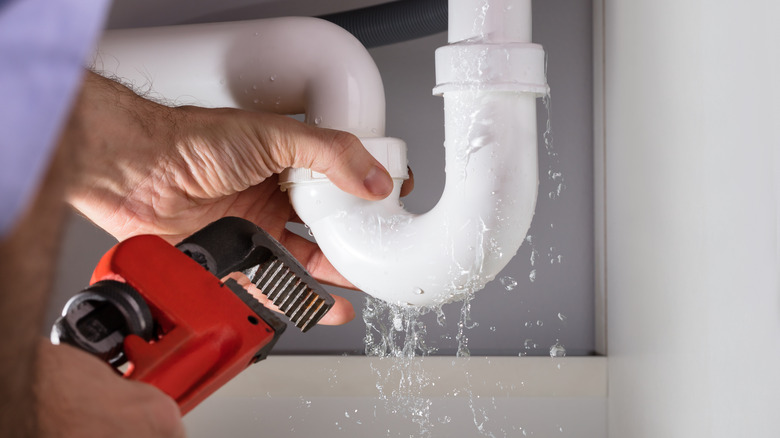 person fixing leaky pipe