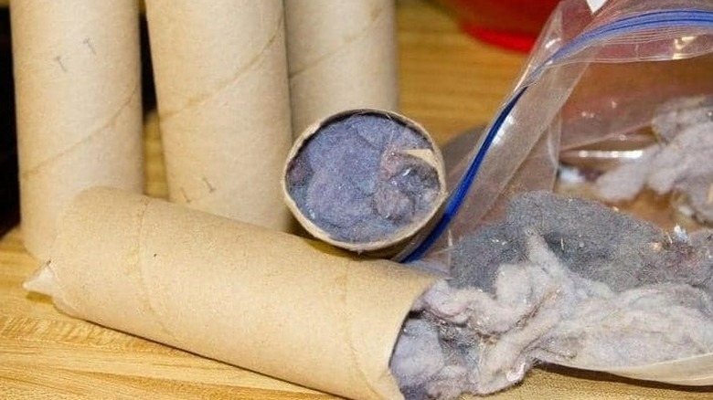 lint stuffed in toilet paper rolls