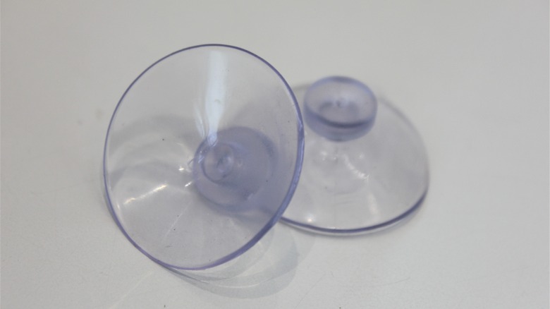 Two suction cups