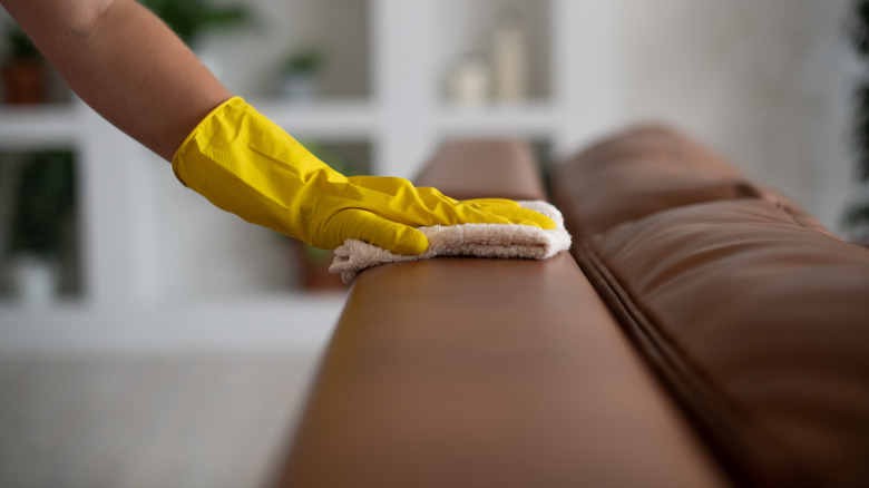 Person wiping leather sofa