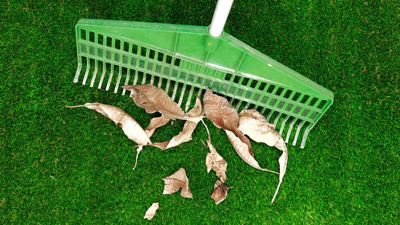 raking leaves on artificial turf