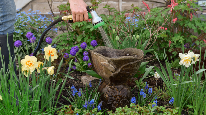 person filling bird bath