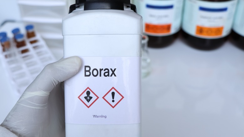 person holding a borax bottle