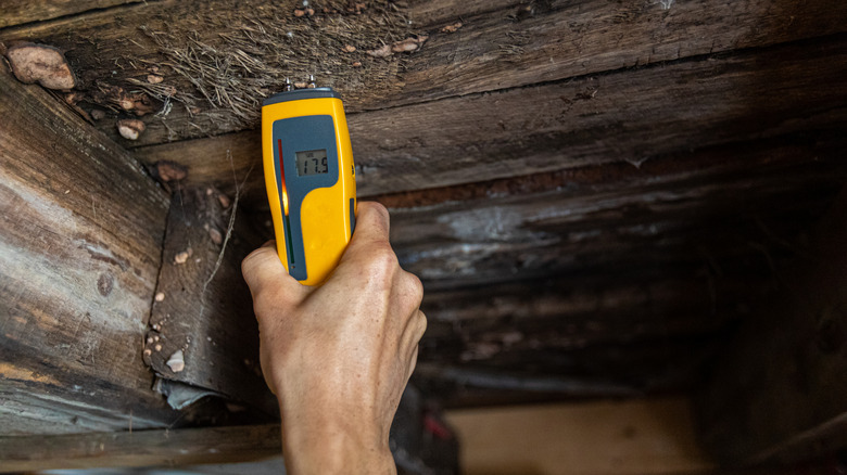 measuring moisture in floor joists