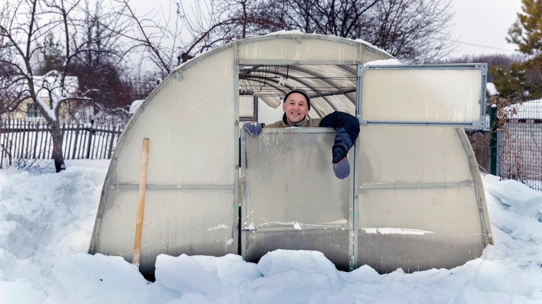 Man inside old greenhouse in snow