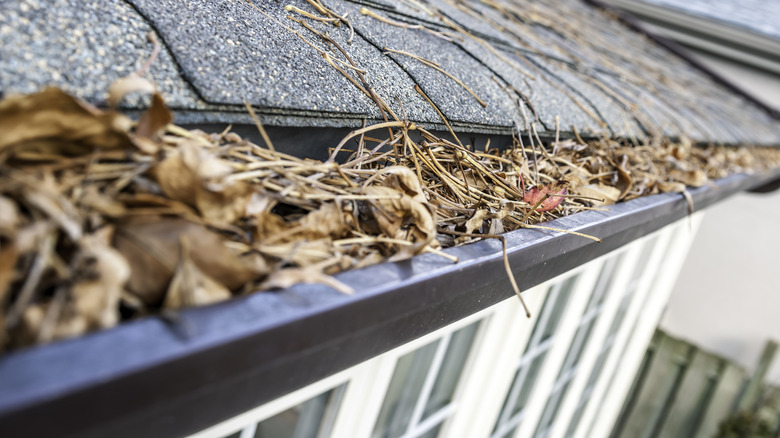 Gutters full of leaves