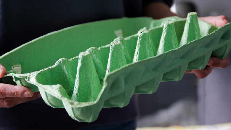 person holding empty egg carton