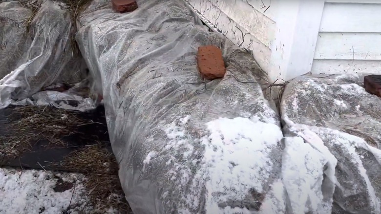 hay bales around foundation of home