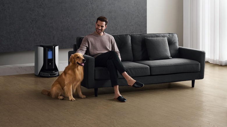 Man petting golden retriever next to 3i robot vacuum docking station