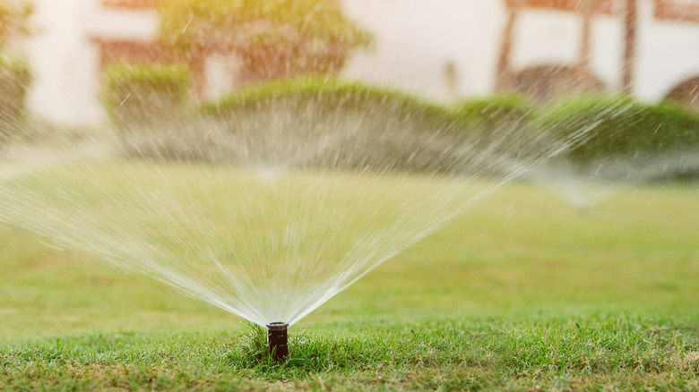 lawn sprinkler