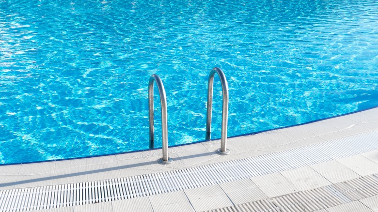 Swimming pool ladder