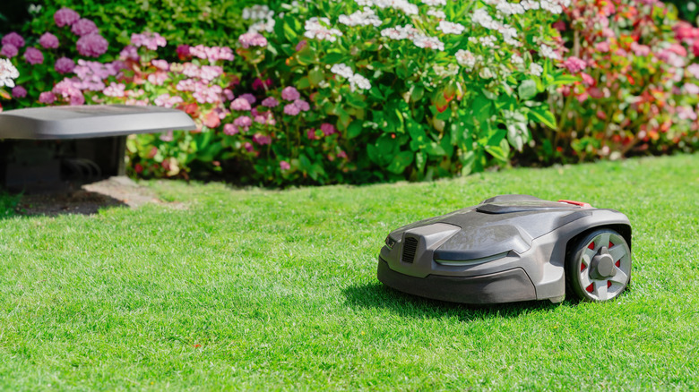 Robotic lawn mower sitting outside on a lawn