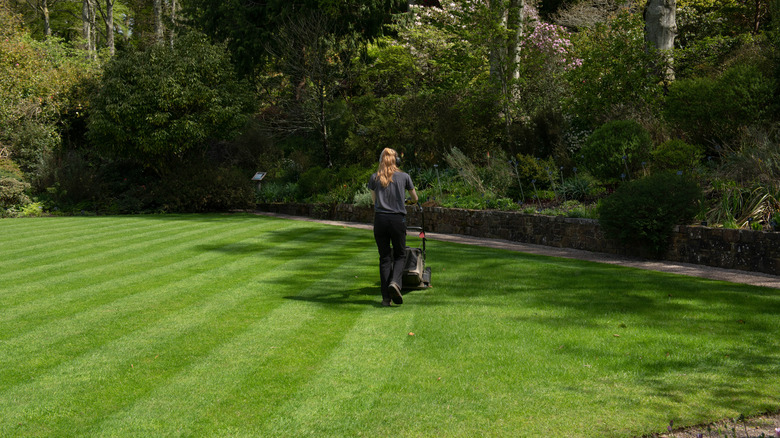 person mowing shaded lawn