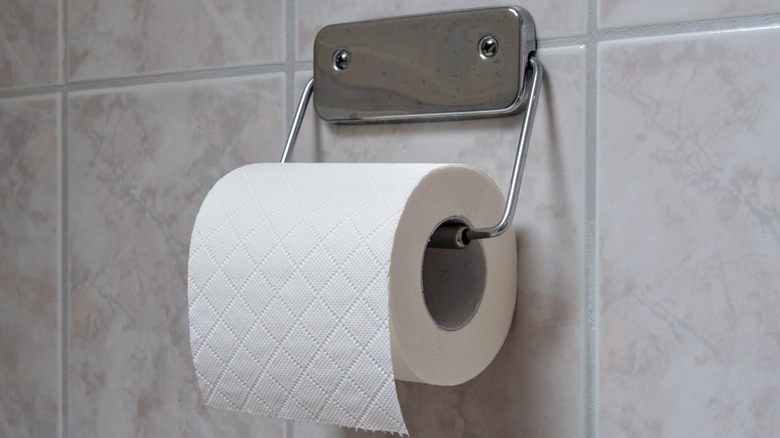 A toilet paper holder