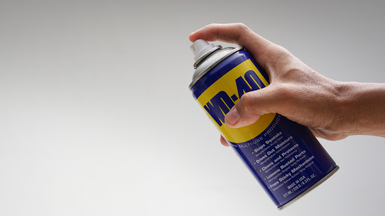 Hand holding can of WD 40