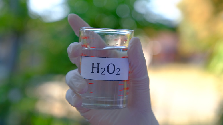 Hydrogen peroxide in a beaker