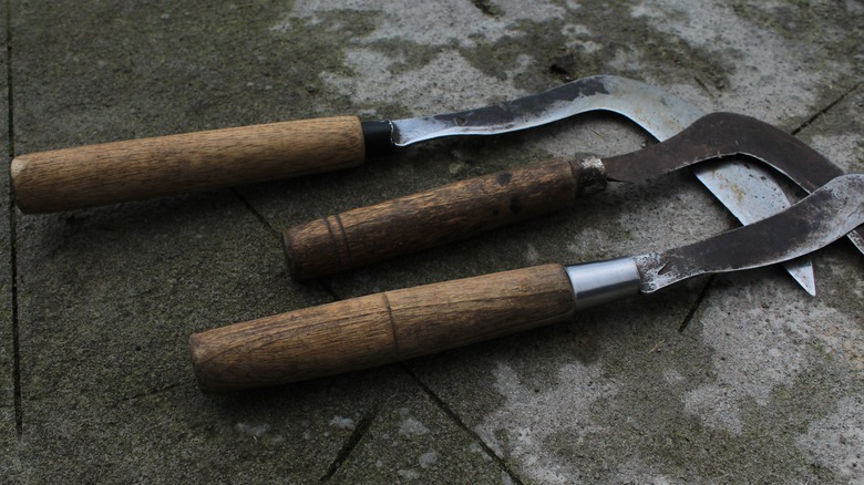 antique wooden handled tools