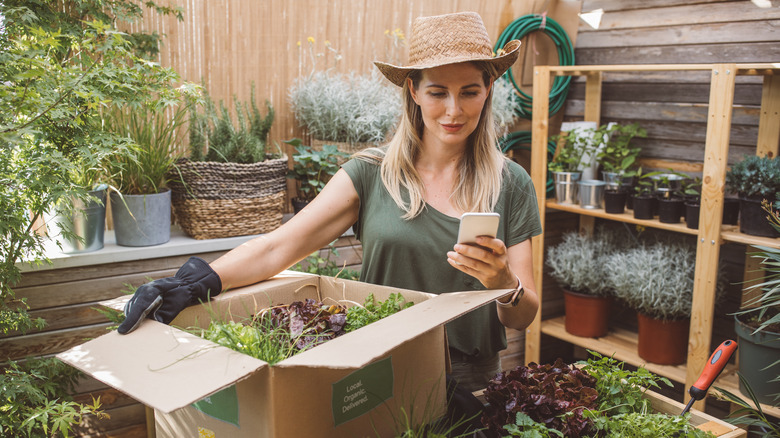 Woman with box of plants