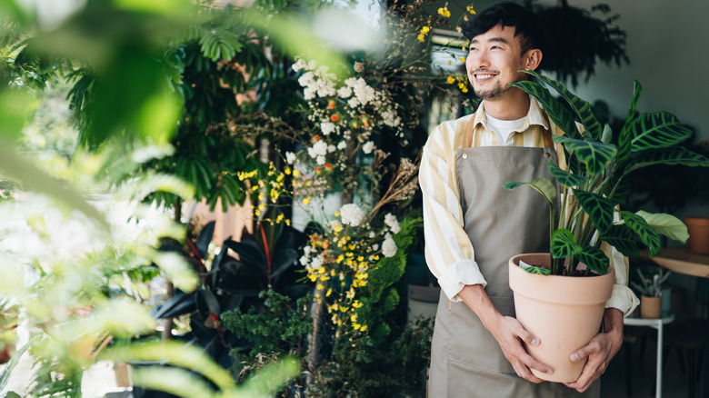 Man holding potted plant